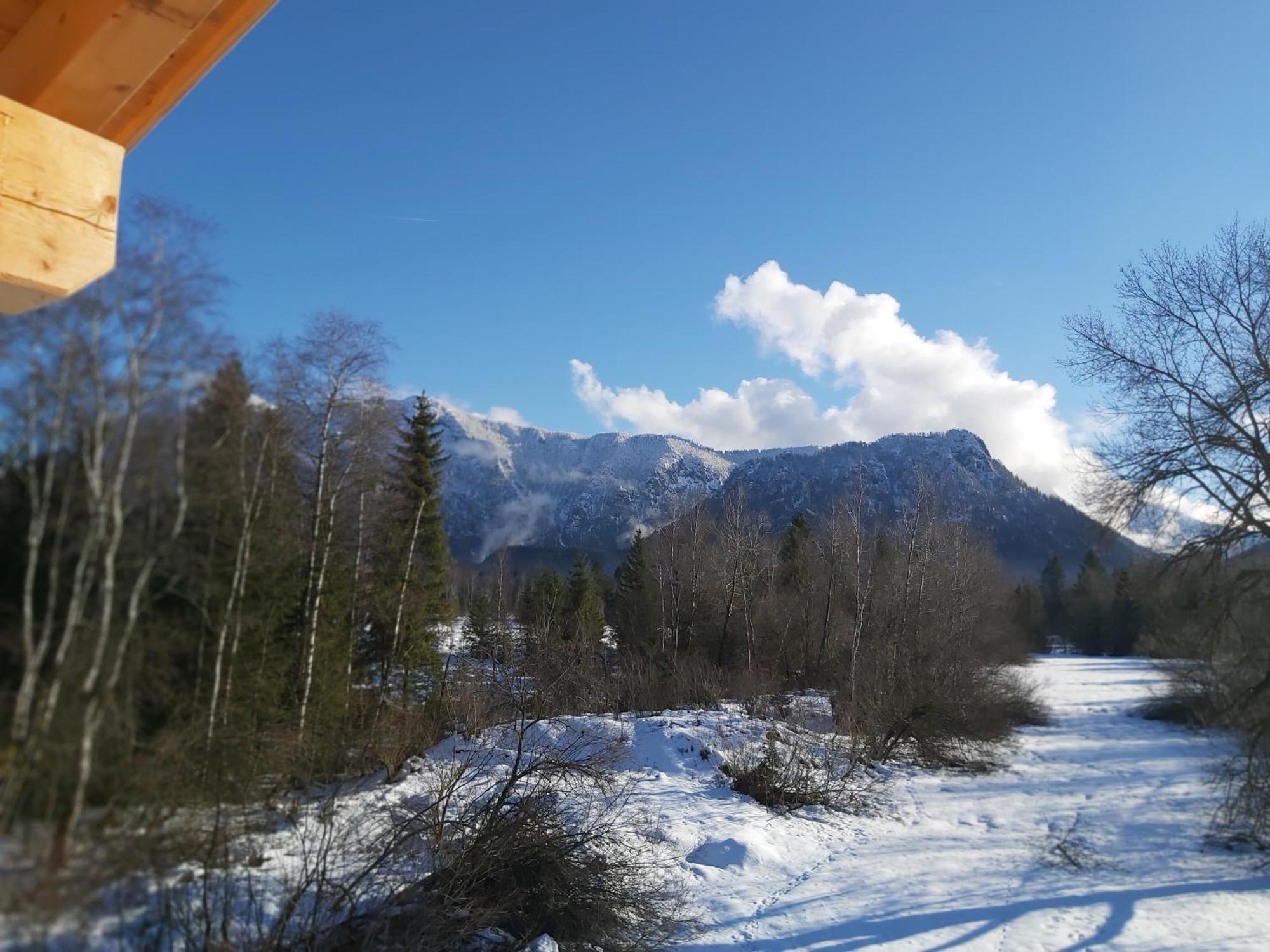 Apartment Andrea - Chiemgau Karte Inzell Exteriér fotografie