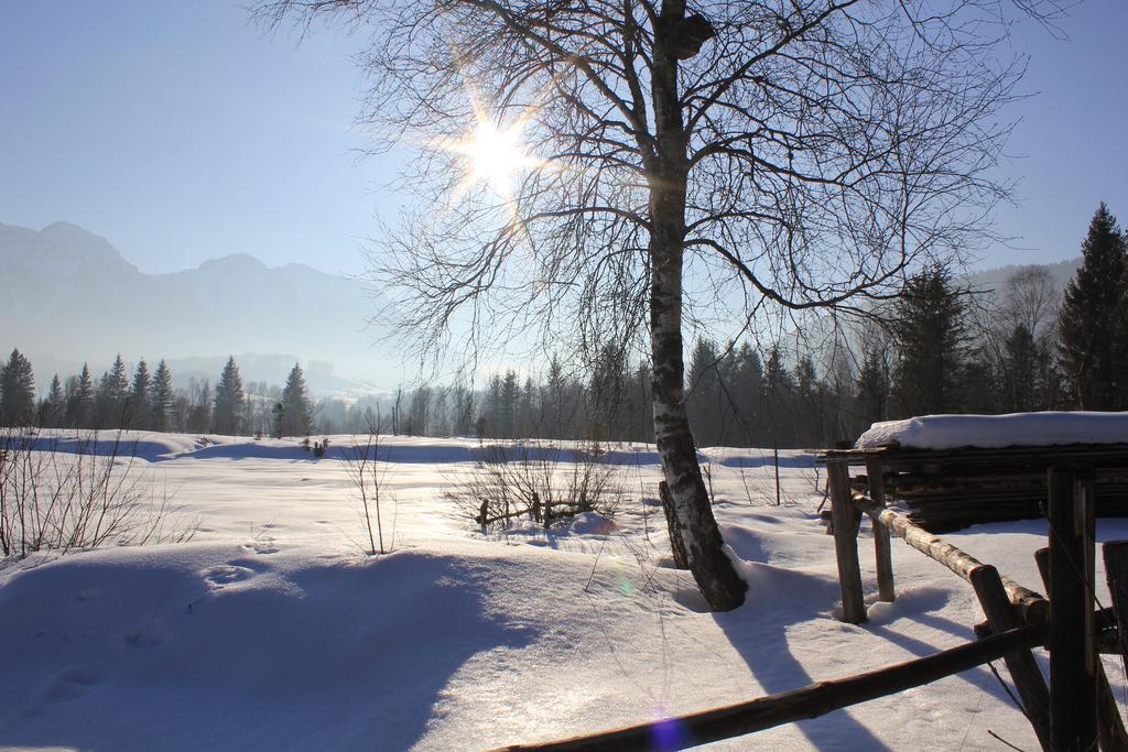 Apartment Andrea - Chiemgau Karte Inzell Exteriér fotografie