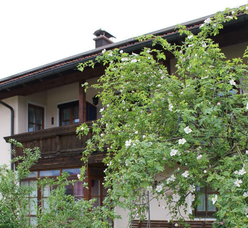 Apartment Andrea - Chiemgau Karte Inzell Exteriér fotografie